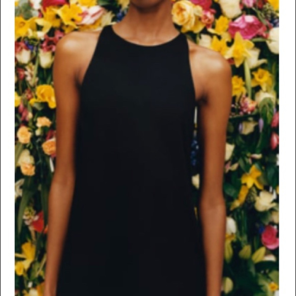 ✨NWT✨ Zara Long Halter Neck Dress